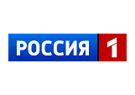 11.02.2015. Телеканал «Россия 1». Специальный корреспондент. В. Крашенинникова о минских соглашениях и планах Запада