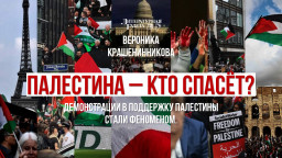 Палестина – кто спасёт? Демонстрации в поддержку Палестины стали феноменом.
