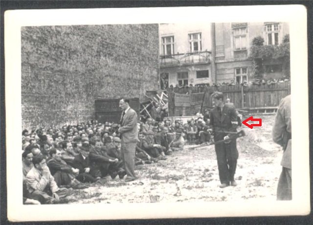 17.jpg 17.jpg